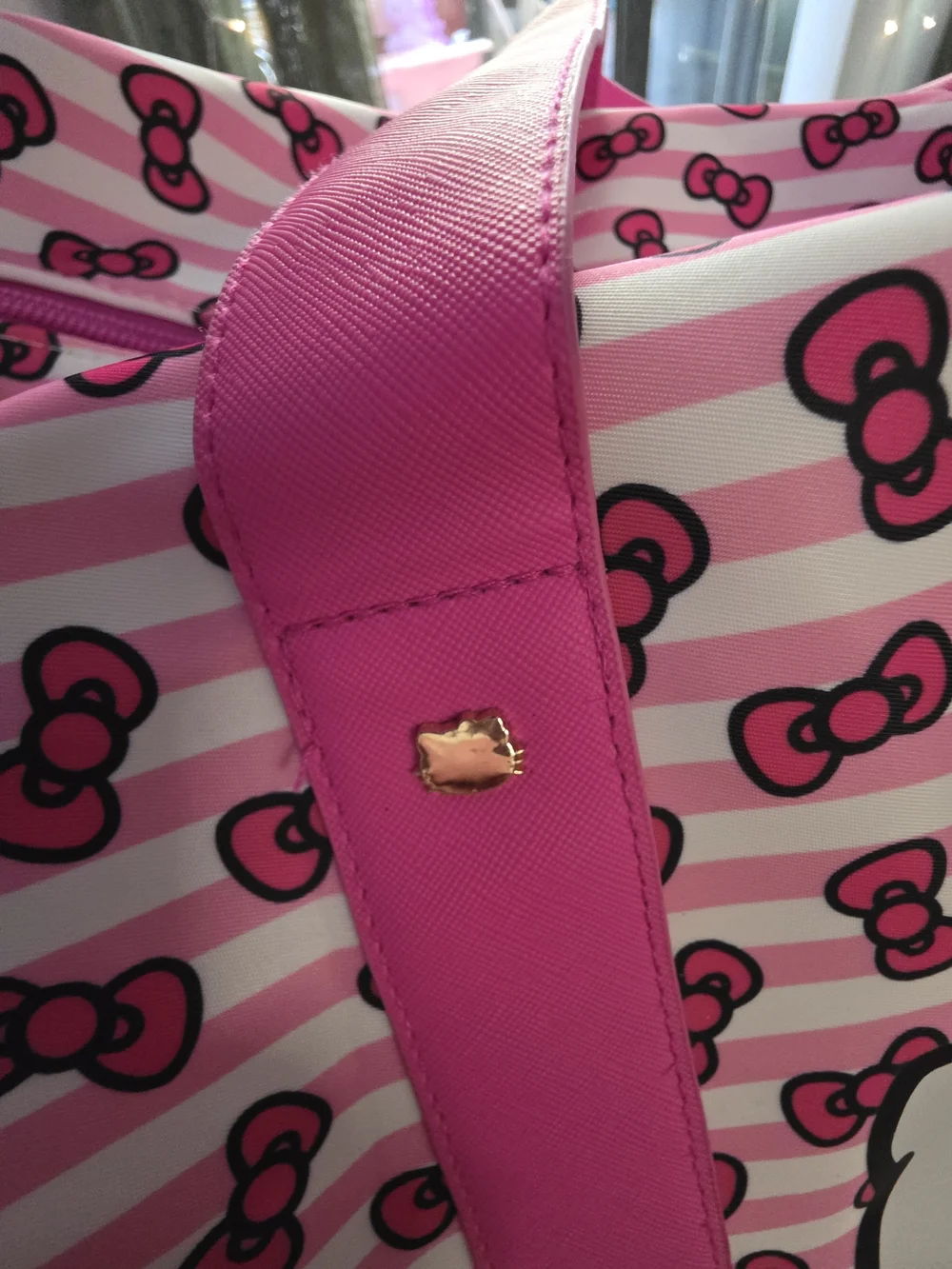 Hello Kitty Pink and White Striped Garment Bag with Bow Print